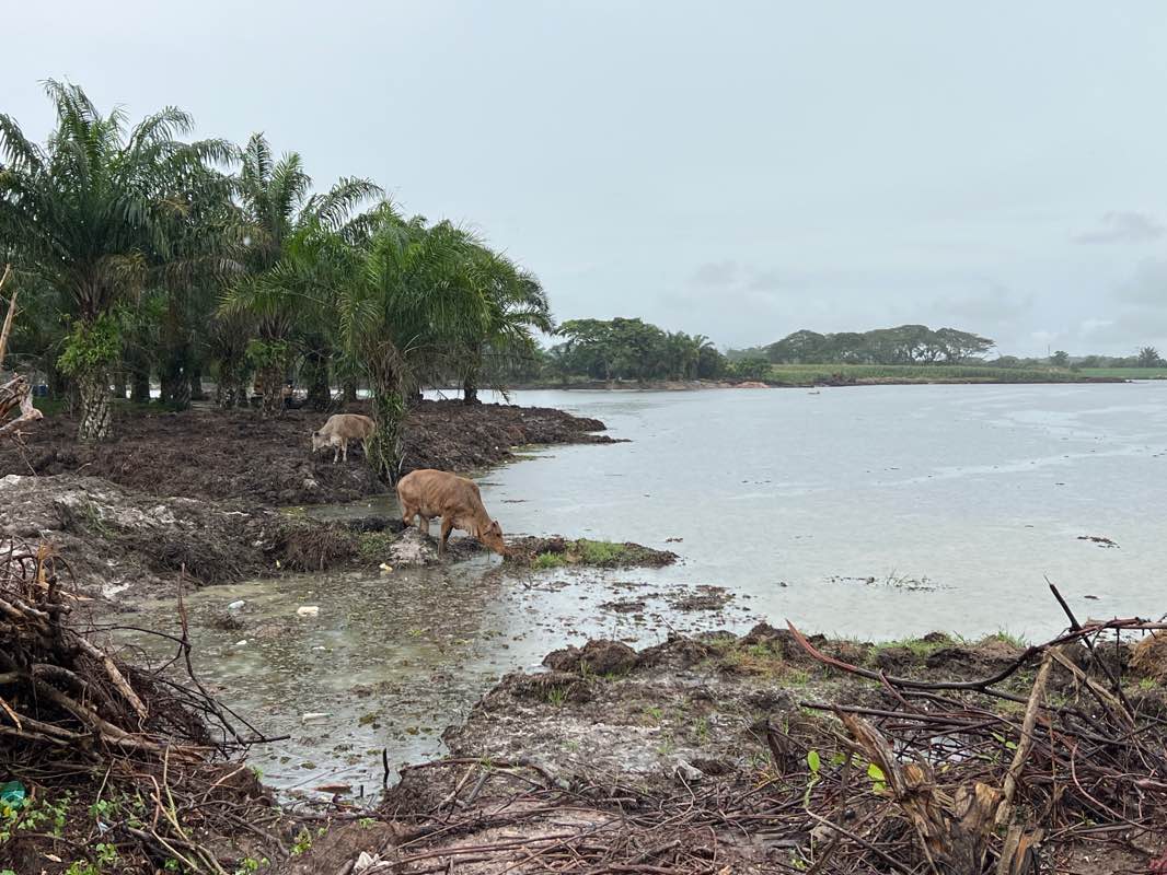 walking near me in West City Park in winter