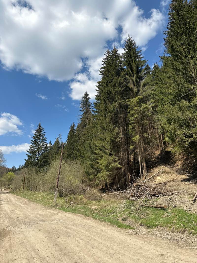 walking near me in Mestský park in winter