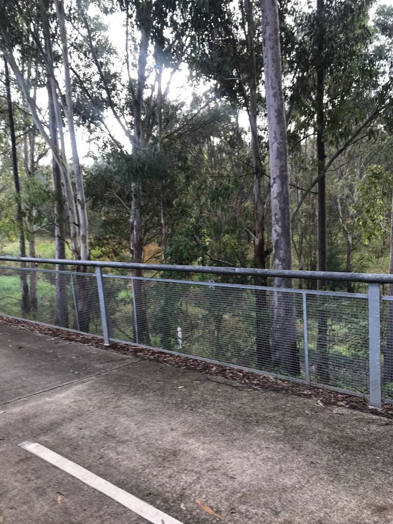 walking near me in Gough Park in summer