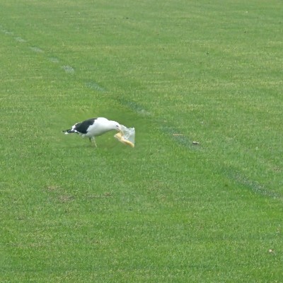 ThatGuyFuryan post 1