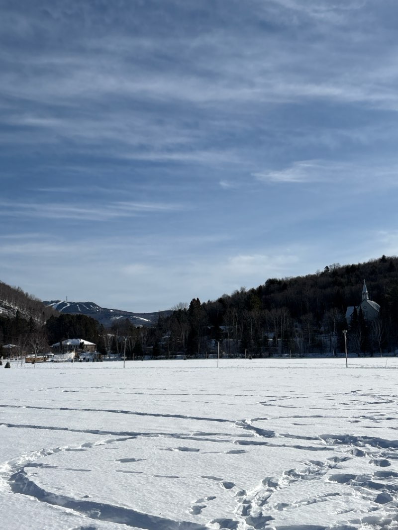 walking near me in Parc du Curé-Deslauriers in winter
