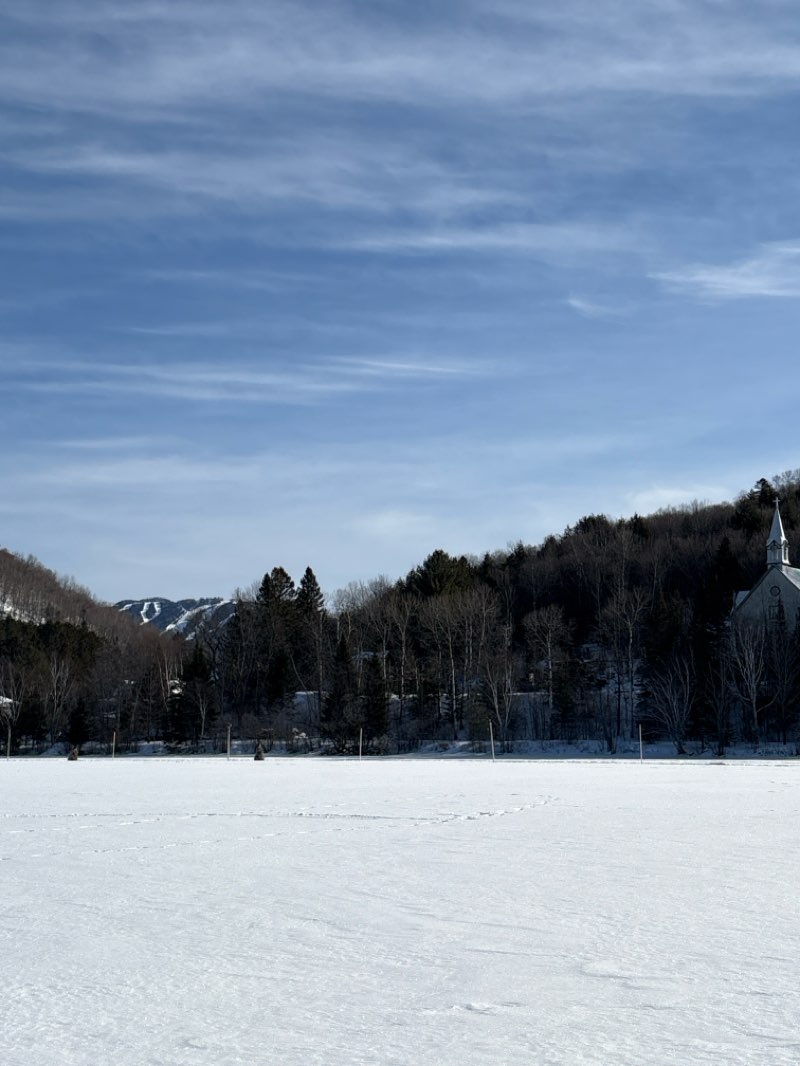 walking near me in Parc Daniel-Lauzon in winter