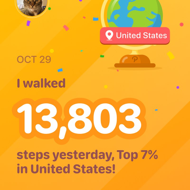 Sipriani 🐾💕 post 1