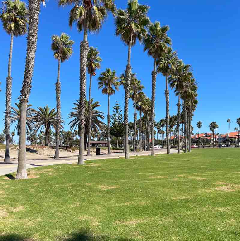 Sipriani 🐾💕 post 1