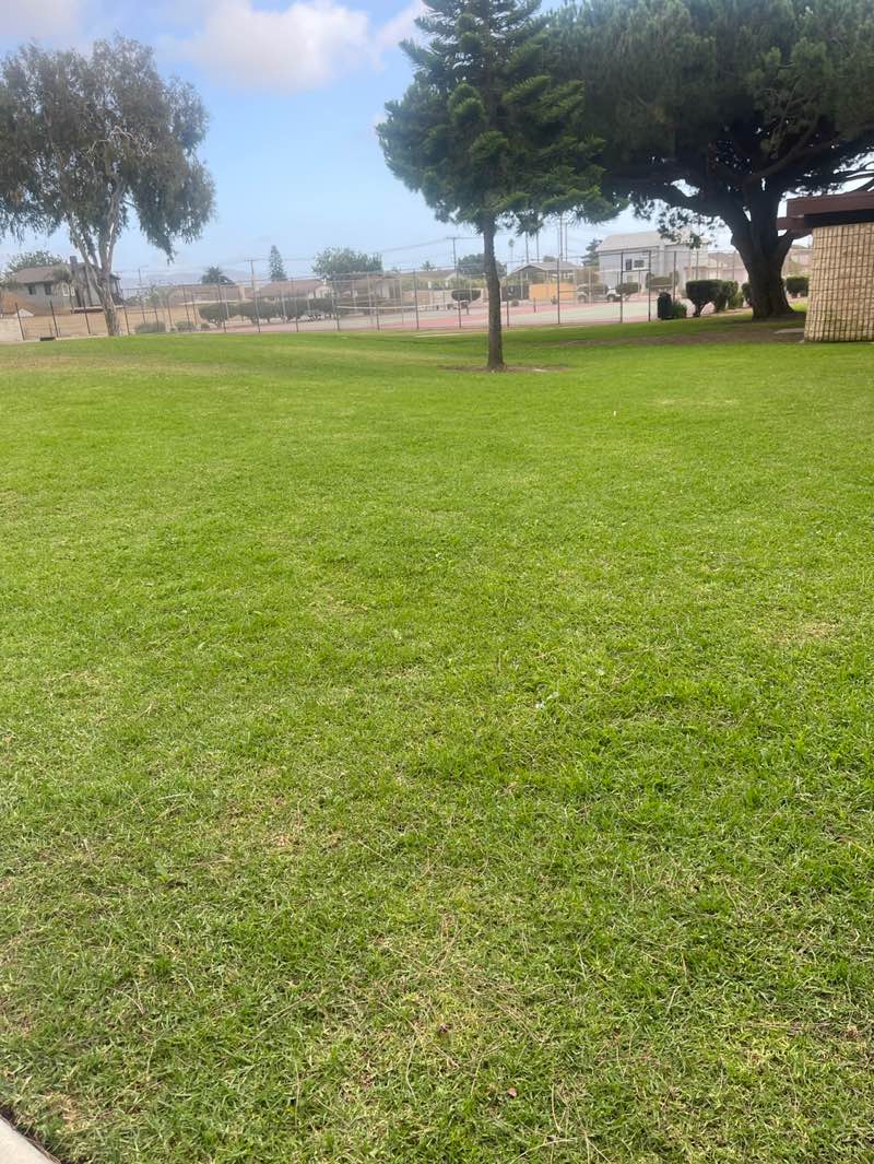 walking near me in Lemonwood Park in autumn