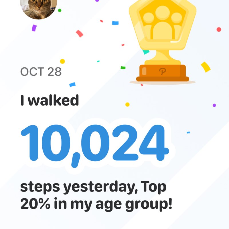 Sipriani 🐾💕 post 1