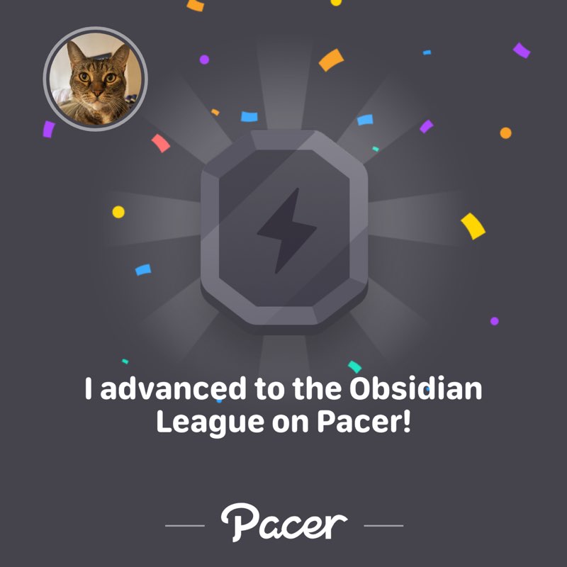 Sipriani 🐾💕 post 1