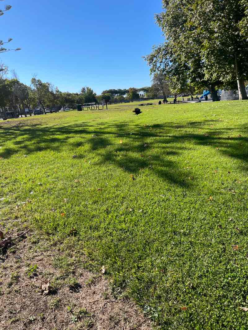 walking near me in West Village Park in autumn