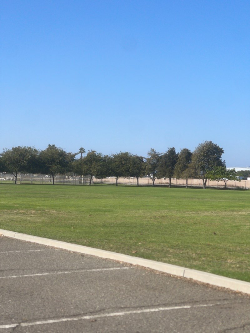 walking near me in Freedom Park in autumn