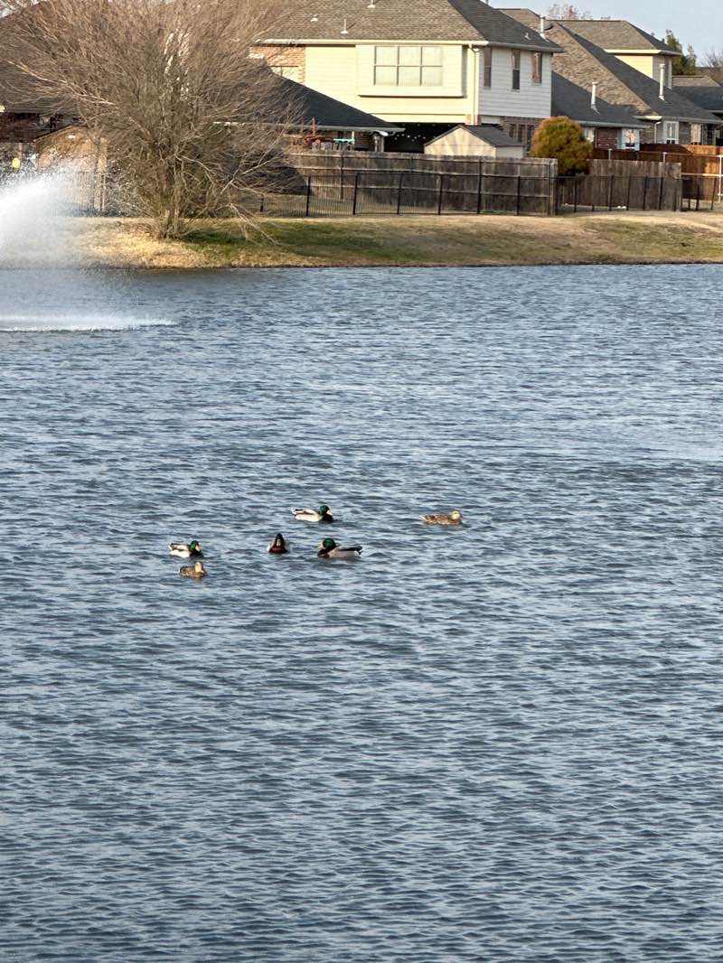 walking near me in Sunset Pointe Park in winter