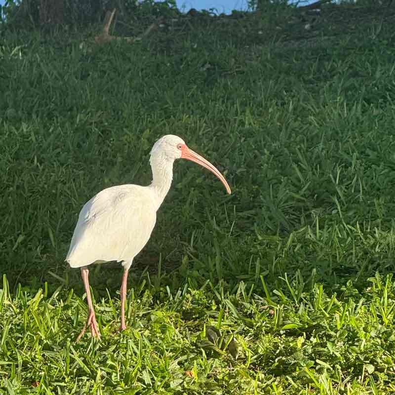 🔥🏃‍♂️Murugan Muthu🔥🏃‍♂️ post 3