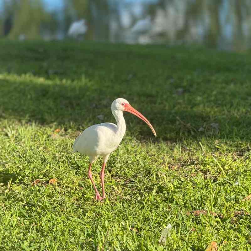 🔥🏃‍♂️Murugan Muthu🔥🏃‍♂️ post 2