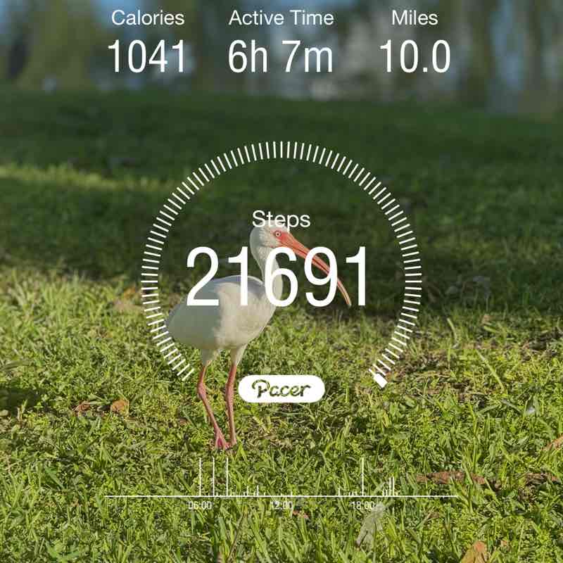 🔥🏃‍♂️Murugan Muthu🔥🏃‍♂️ post 1