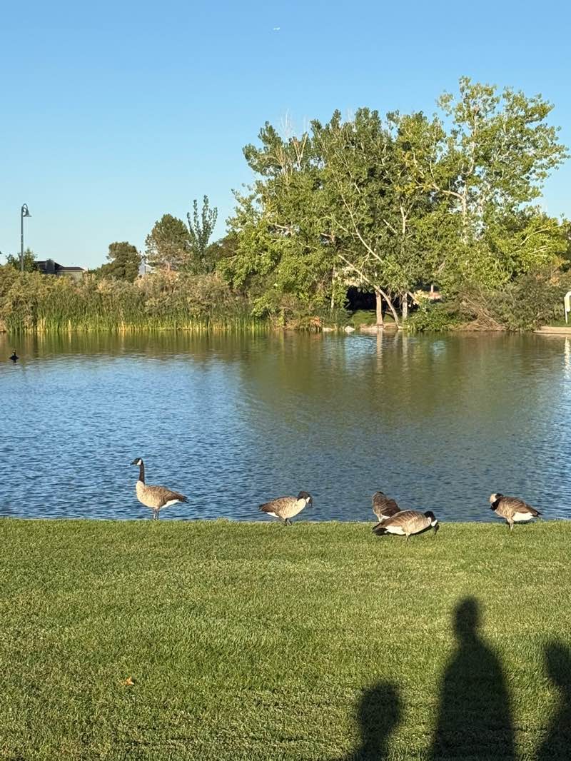 walking near me in E.B. Raines Junior Memorial Park in autumn