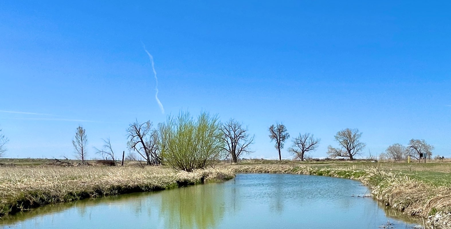 walking near me in Shiloh Conservation Area in winter