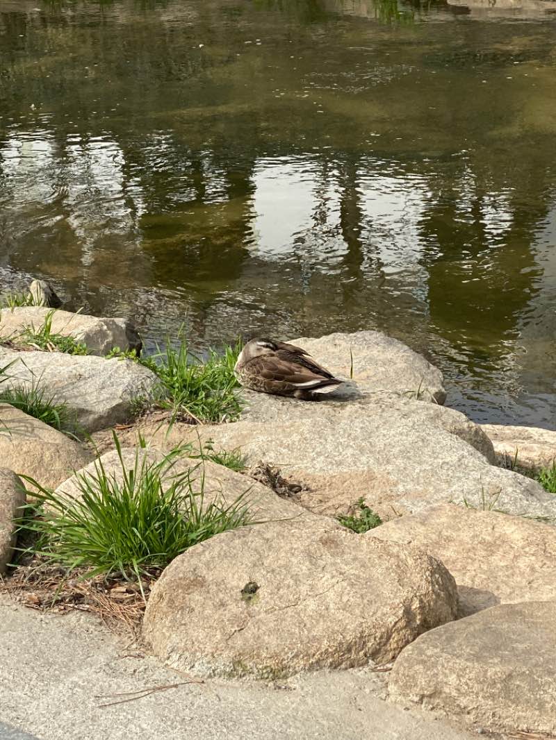 walking near me in 부곡 온천천시민공원 in winter