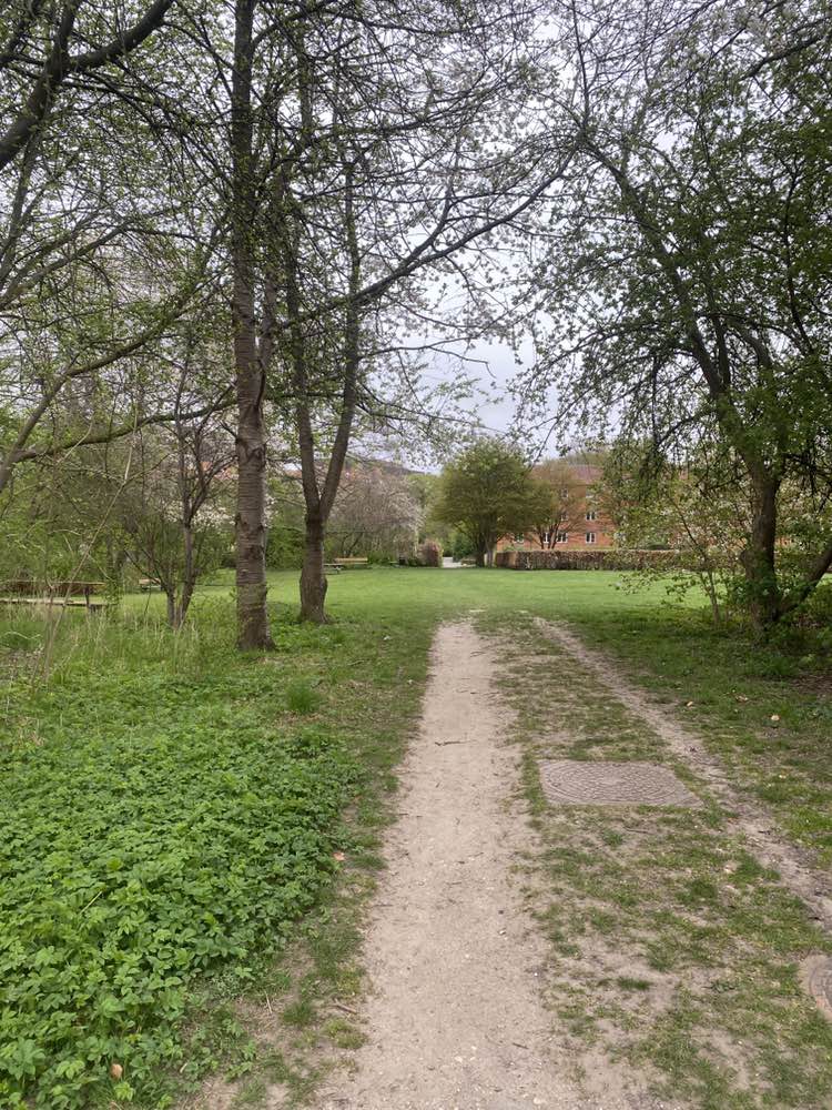 walking near me in Pipers Park in spring