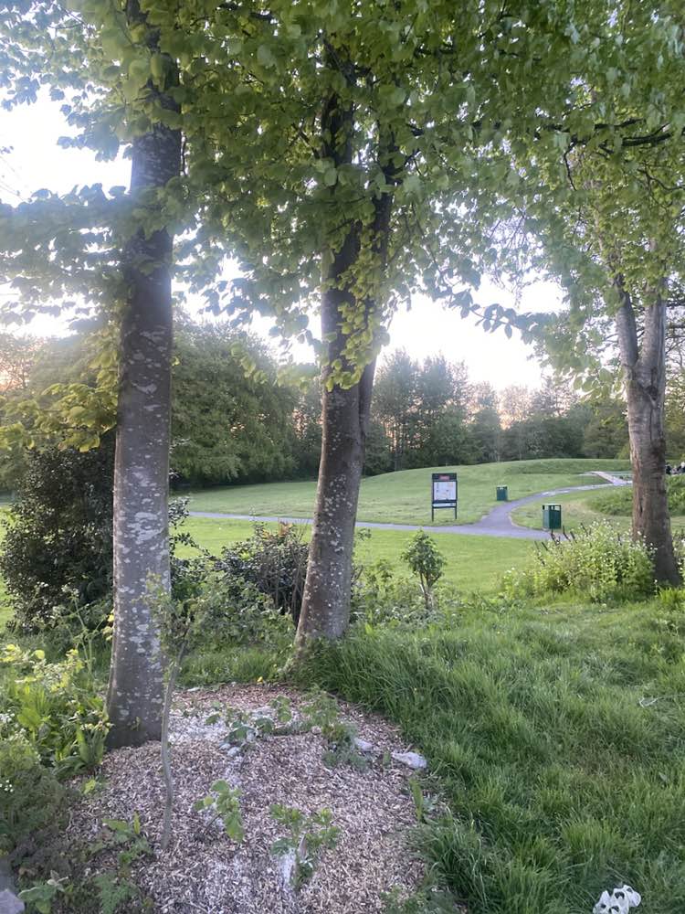 walking near me in Moor Park in spring