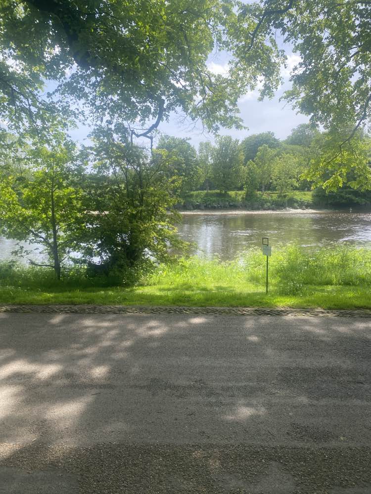 walking near me in Avenham Park in summer