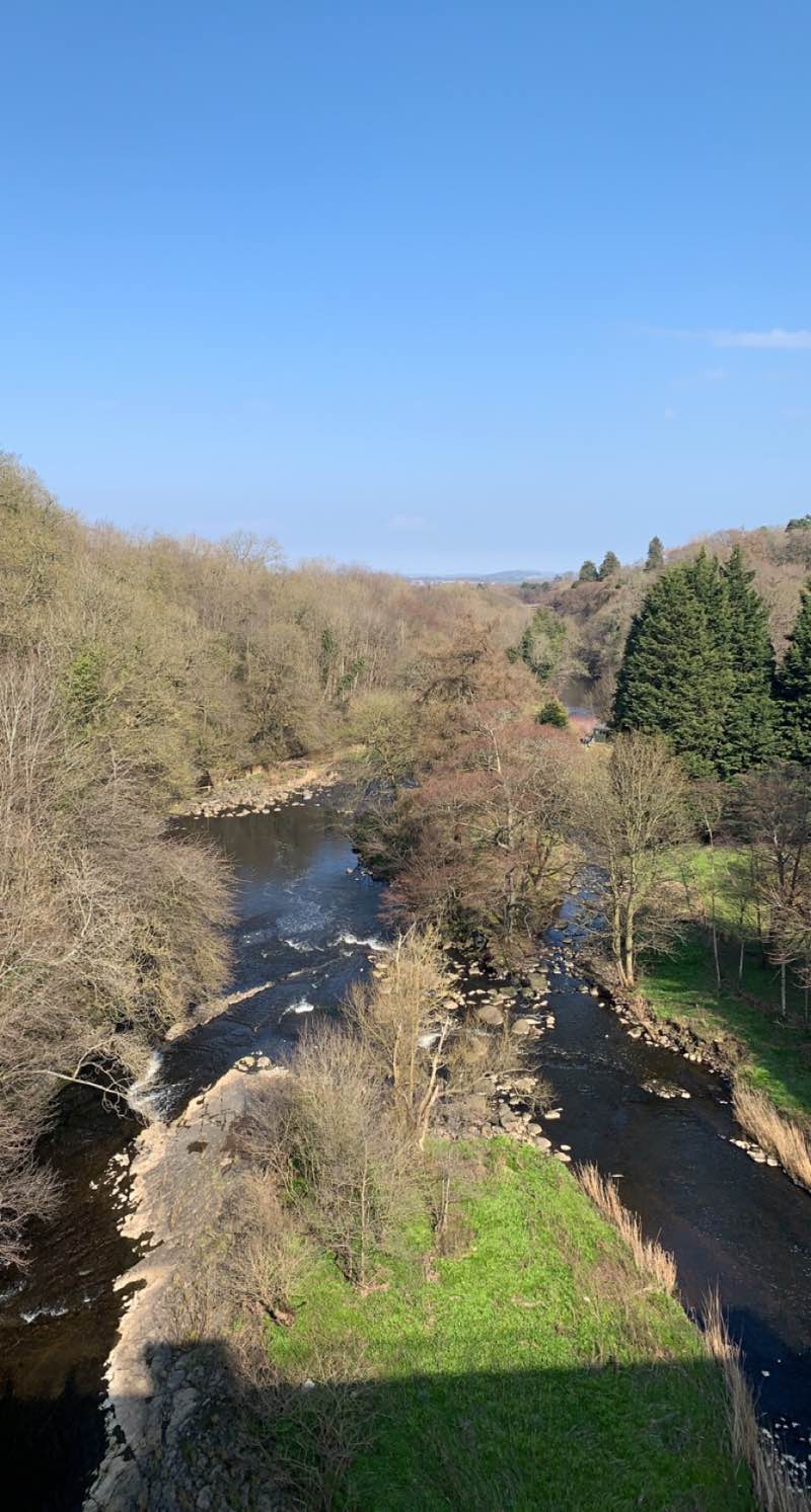 walking near me in Roseburn Park in winter