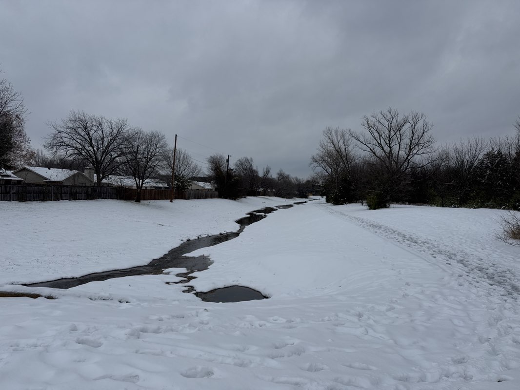 walking near me in Cooper Glen Open Space in winter