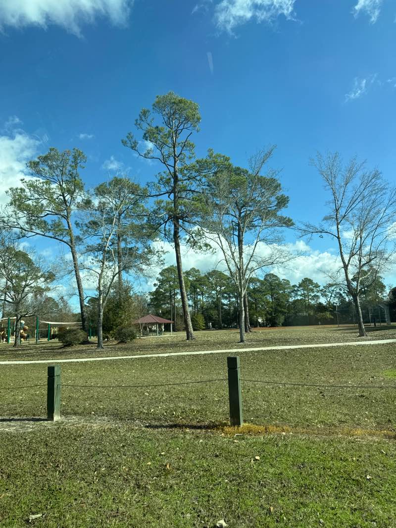 walking near me in Hackmeyer Park in winter