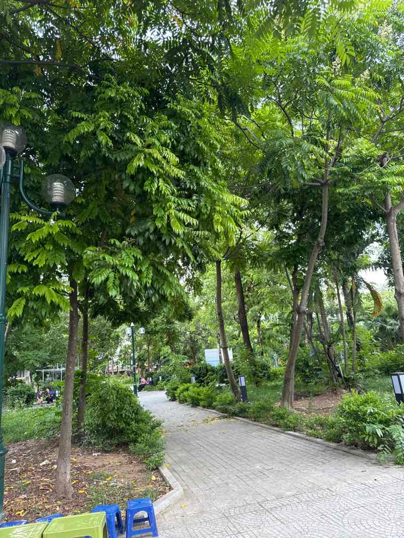 walking near me in Vườn Hoa 1-6 in autumn