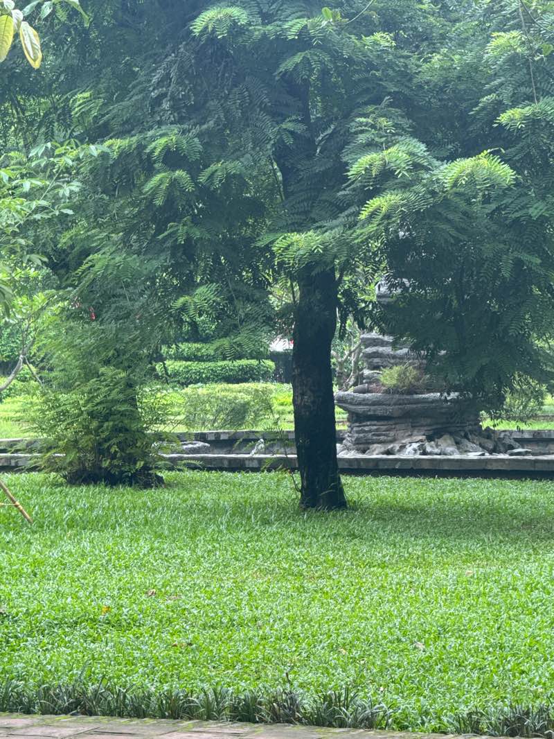 walking near me in Temple of Literature in autumn