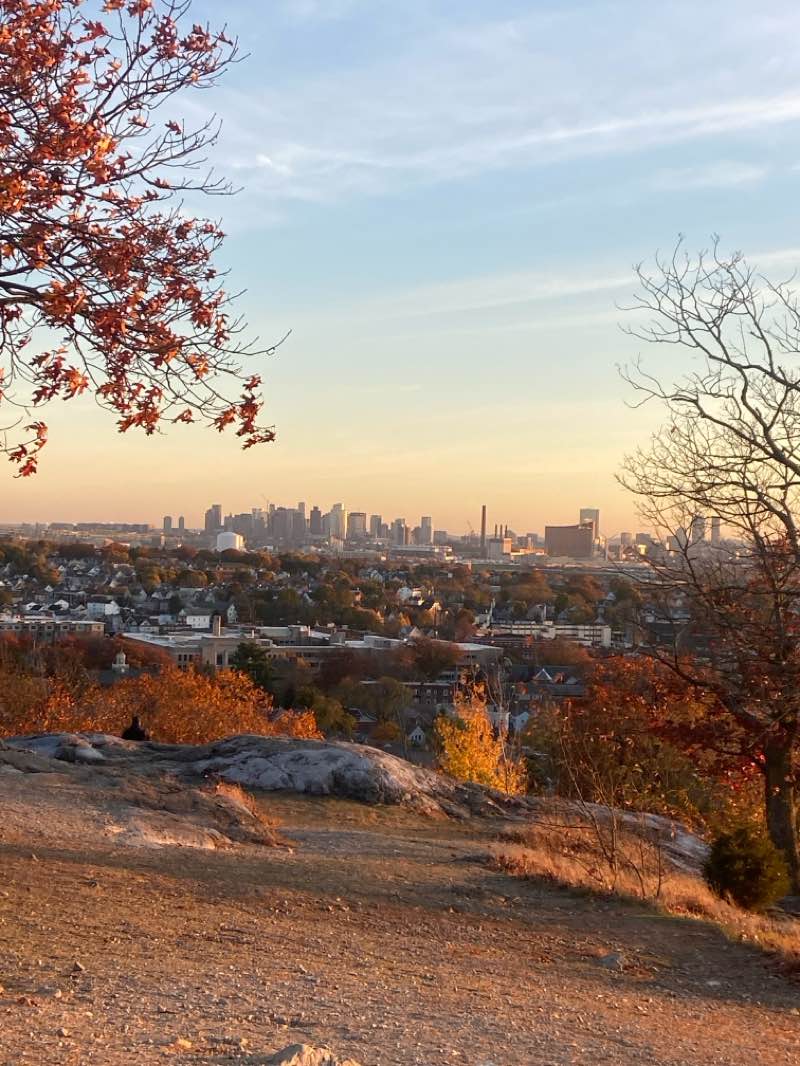 walking near me in Waitts Mount in winter