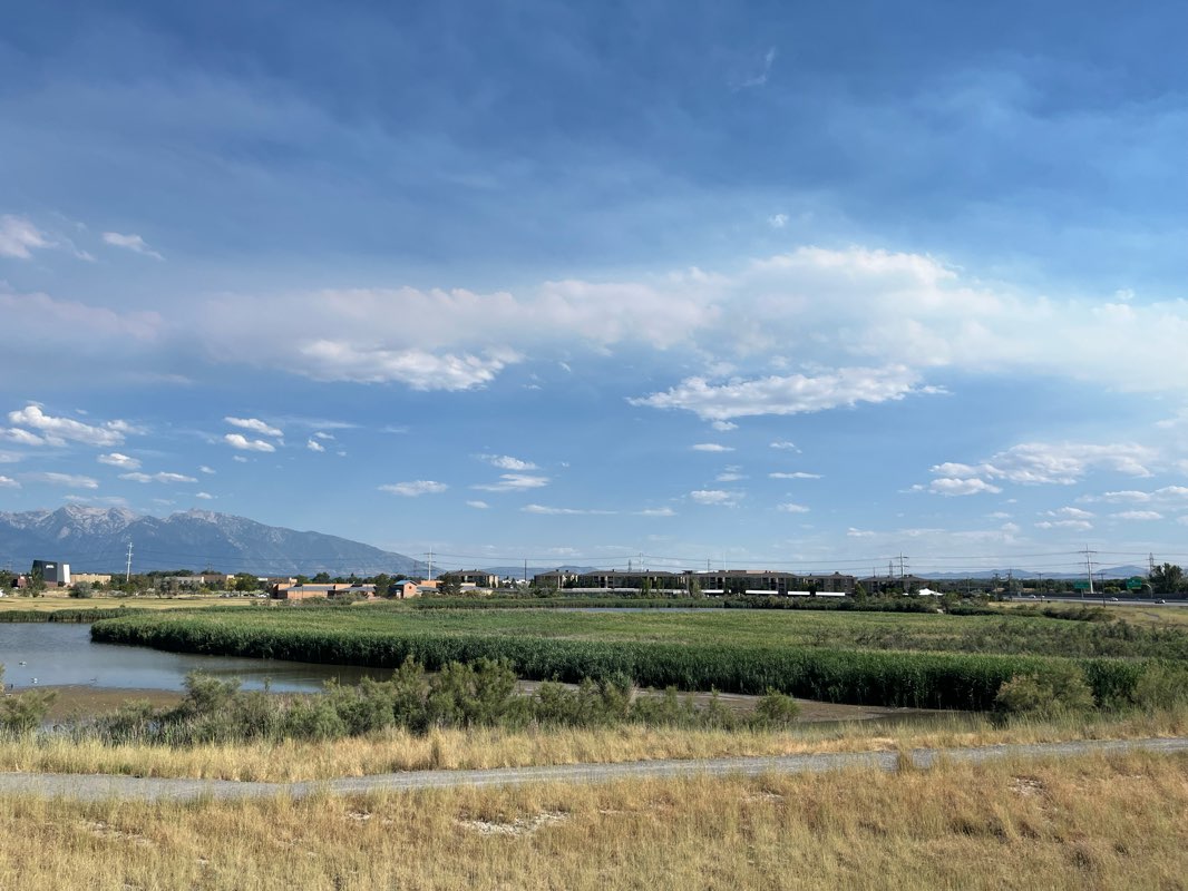 walking near me in Decker Lake Park in winter