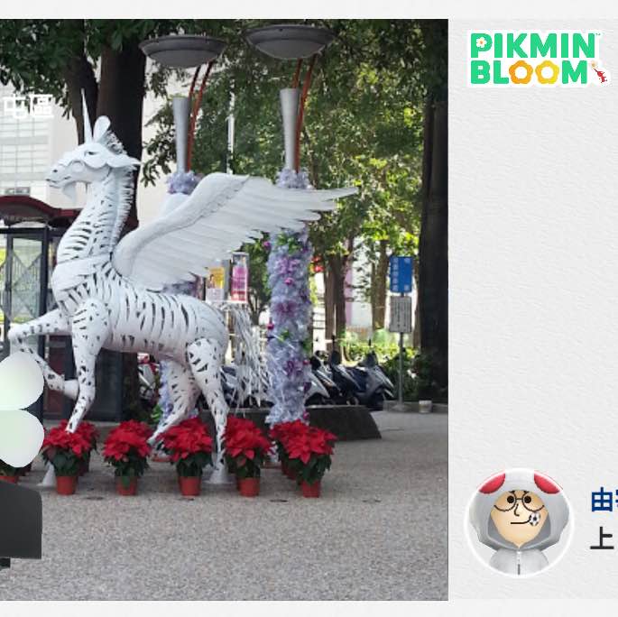 中三健康運動團 中三__心宿二_王清憲 post image