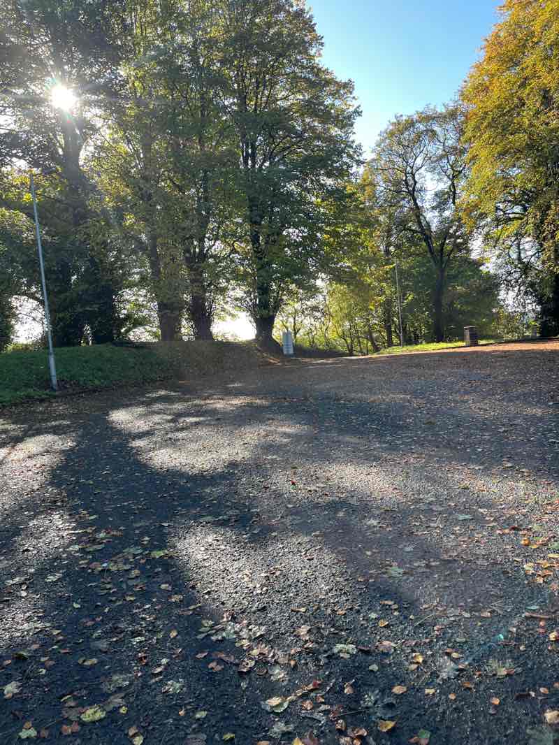 walking near me in Sentry Hill in autumn