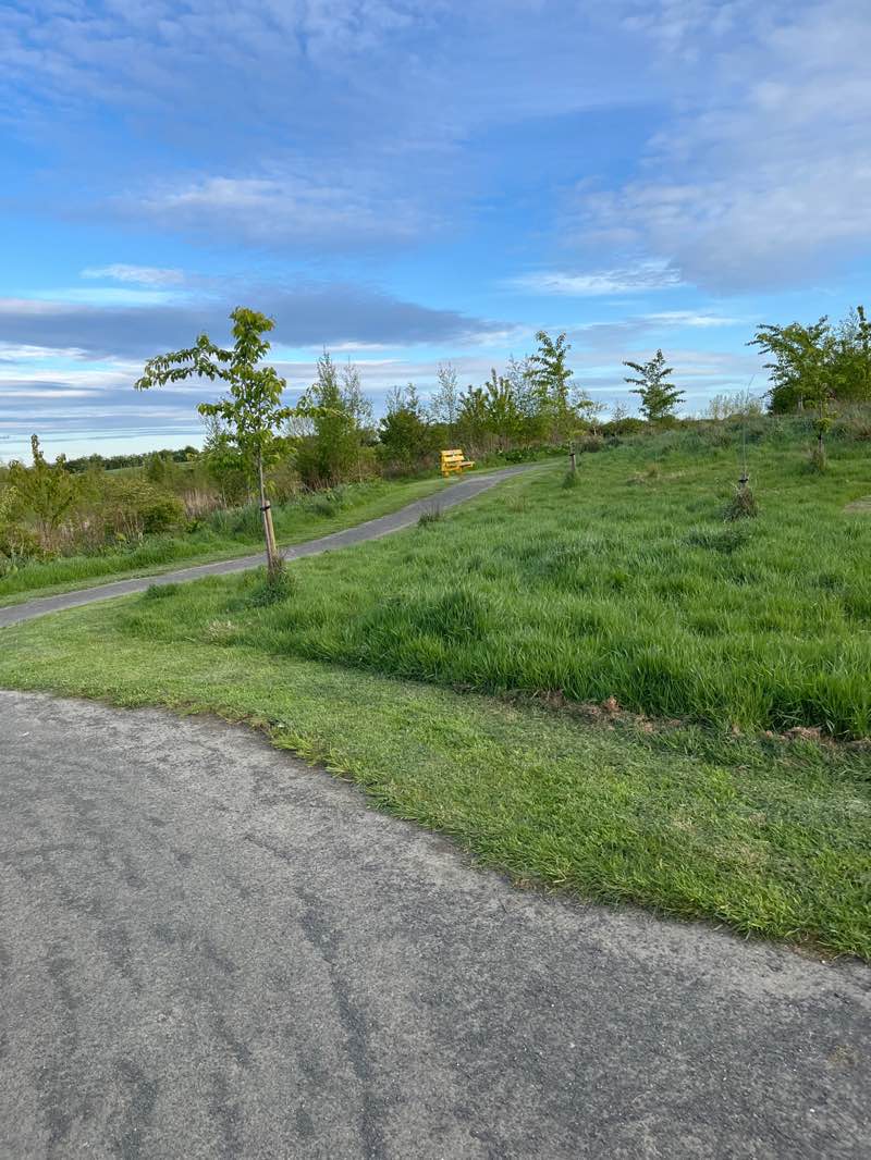 walking near me in Ahoghill Park in spring