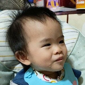 朝著夢想前進🦔🦔🦔