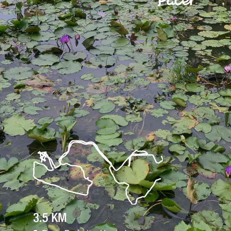 Selvarani Rajadurai post 1