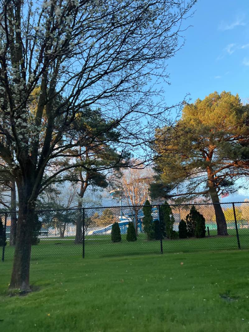 walking near me in Lakefront Park in spring