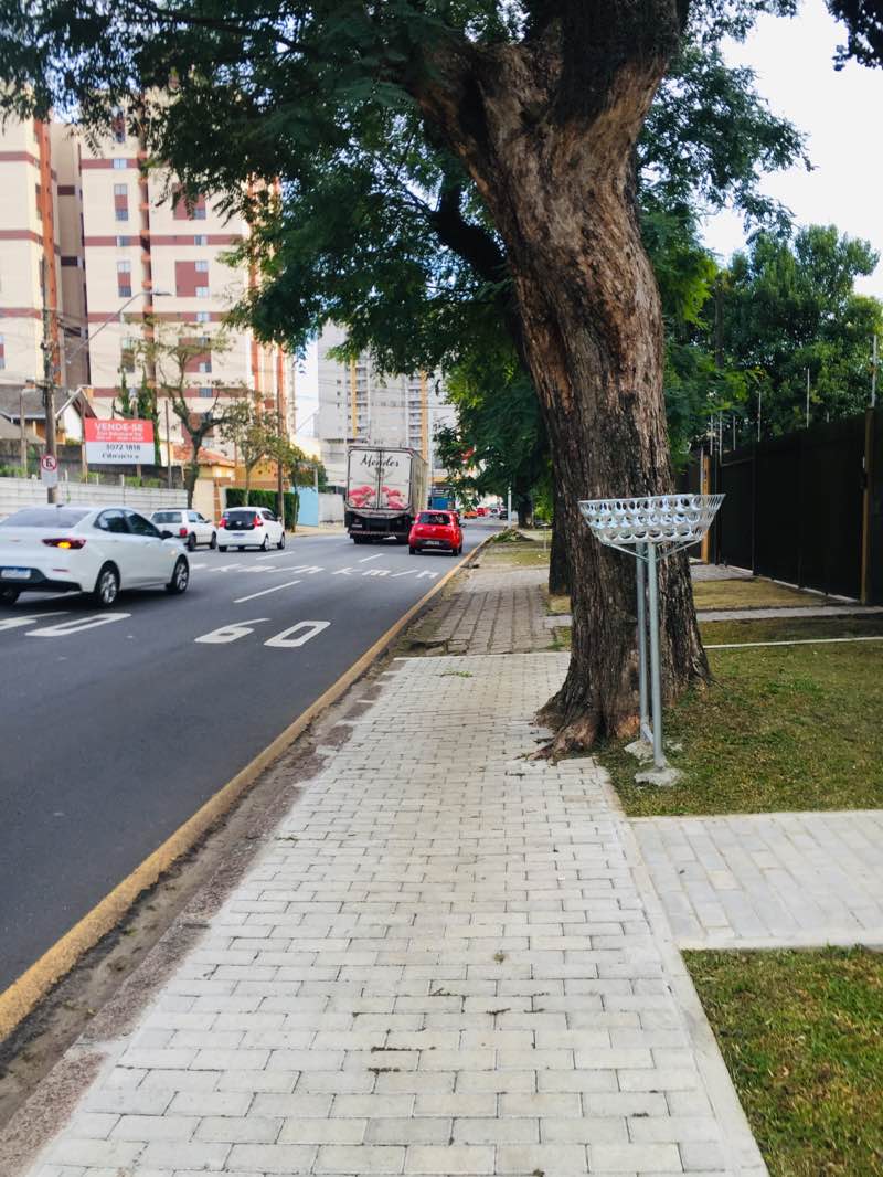 walking near me in Eixo de Animação Regional Pinheirinho in summer