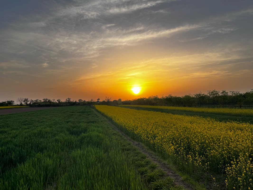 walking near me in 和谐广场 in winter