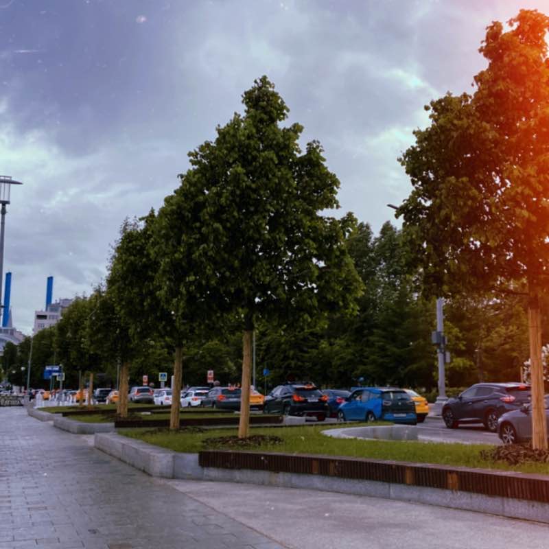 Турова София 🔥 post 3