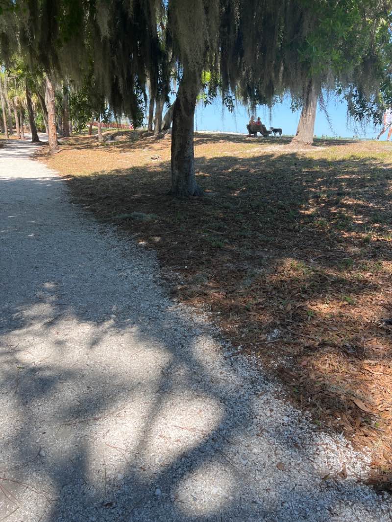 walking near me in Nathan Benderson Park in winter