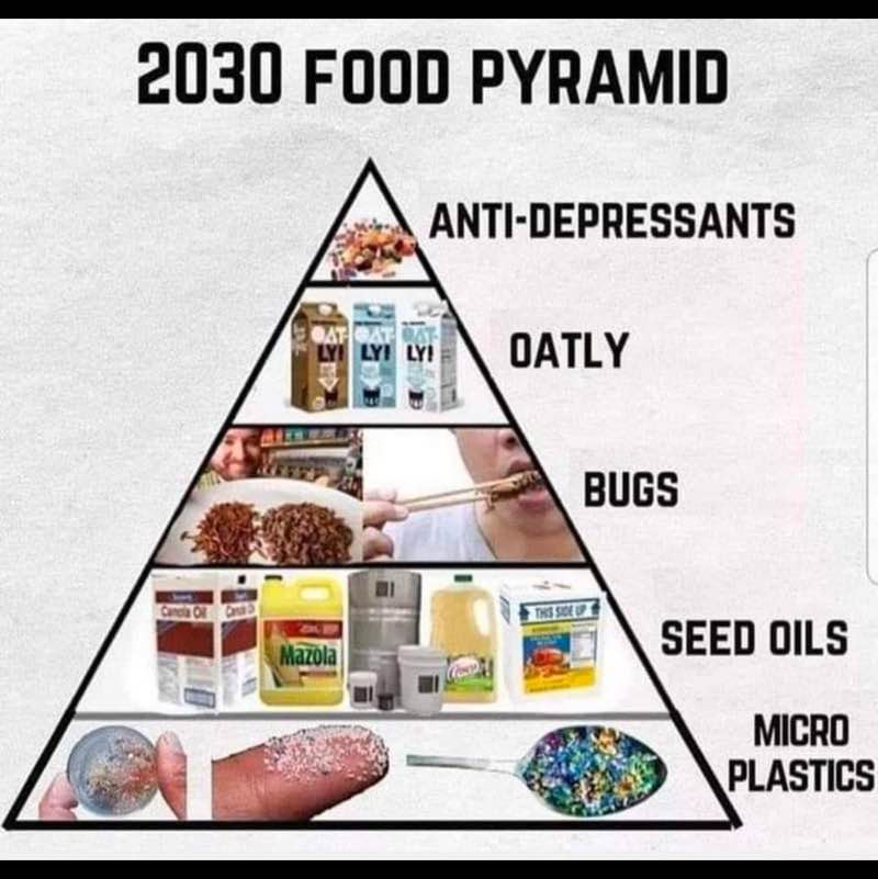 truth seekers Tom post image