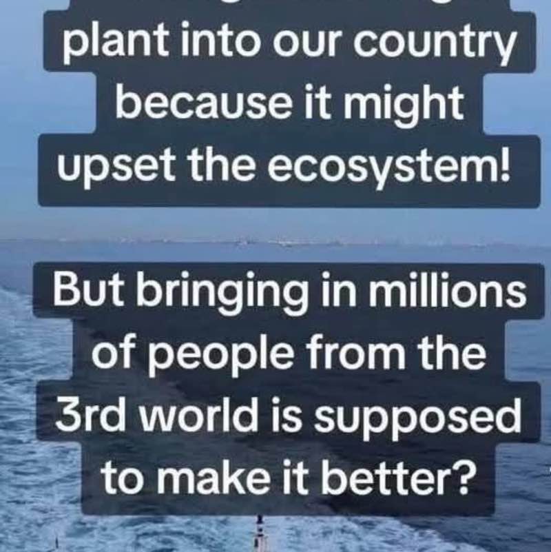 truth seekers Tom post image