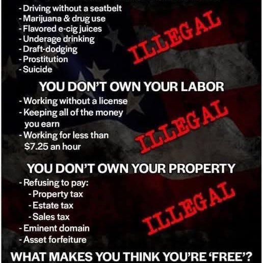 truth seekers Tom post image