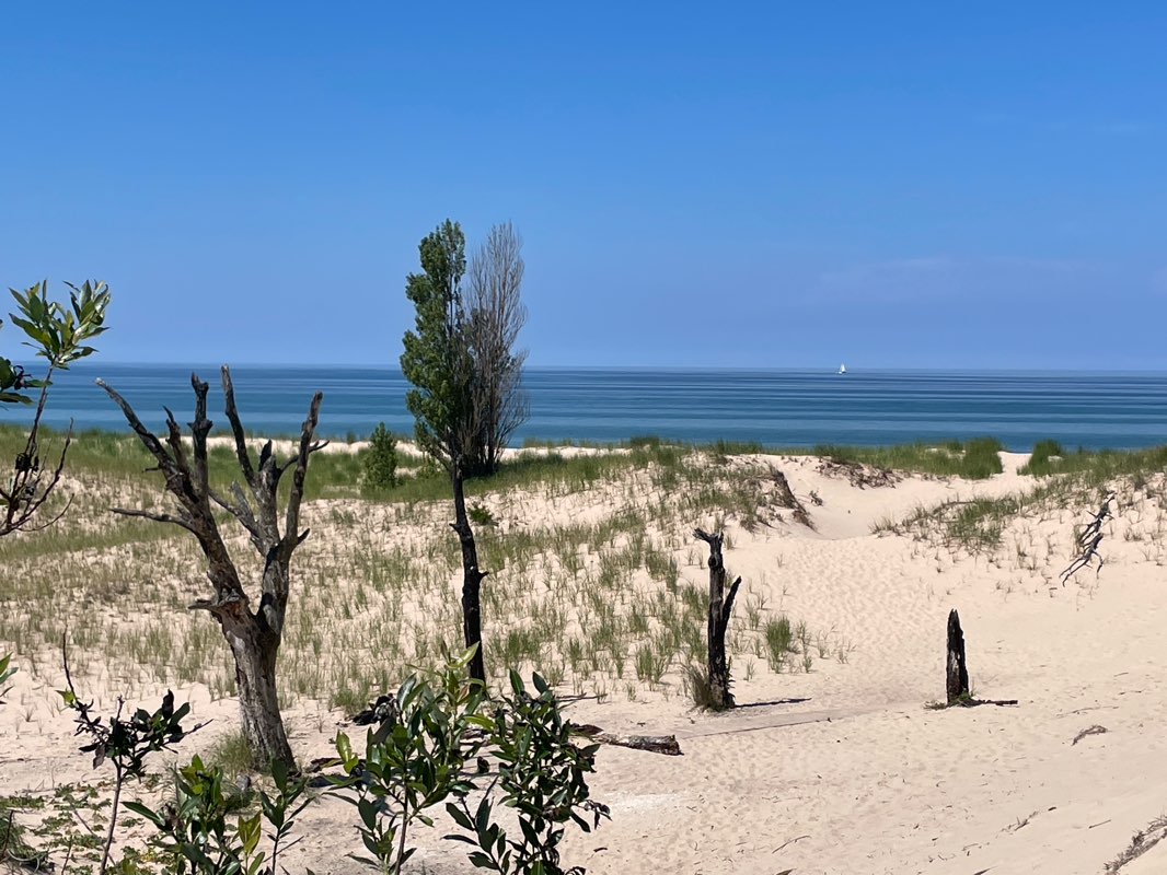 walking near me in Ludington State Park in summer