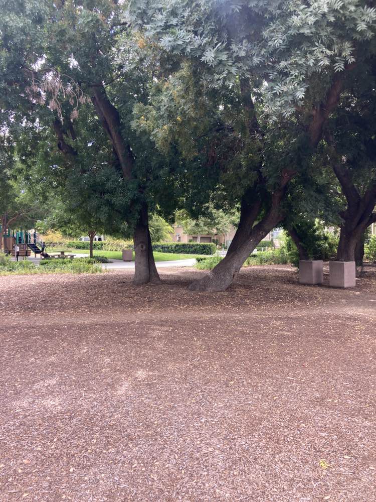 walking near me in Thomas Barrett Park in autumn