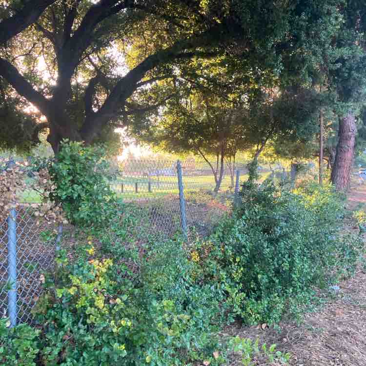 Kevin A Norman post 1