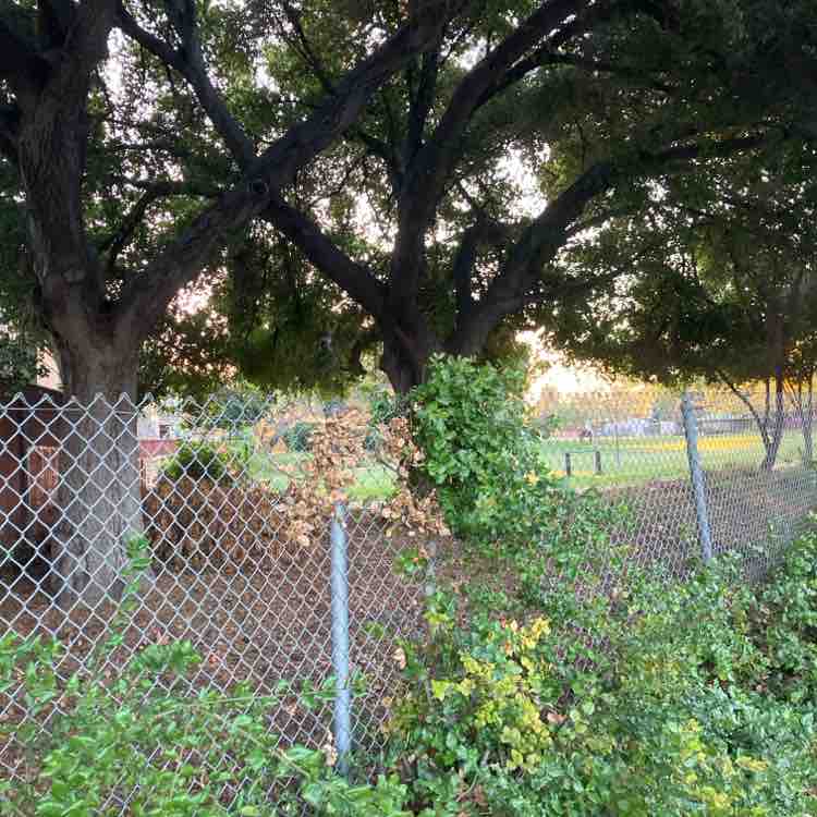 Kevin A Norman post 1