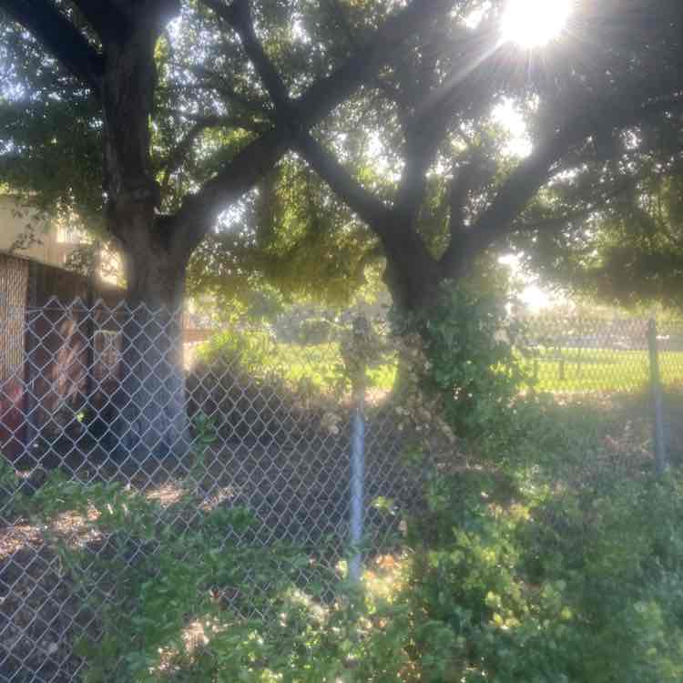 Kevin A Norman post 1