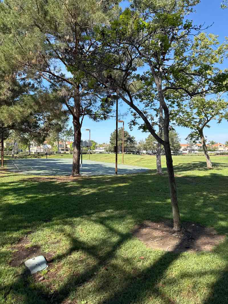 walking near me in Heritage Park in spring