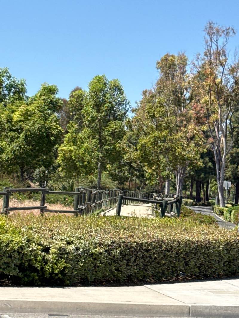 walking near me in Citrus Ranch Park in spring